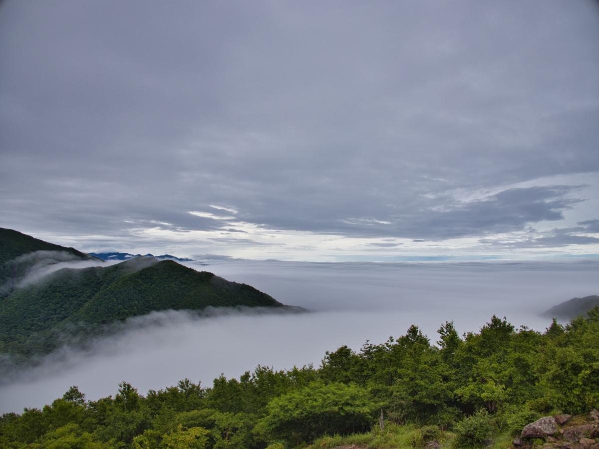 駒ケ岳と鳥居峠を覆う雲海