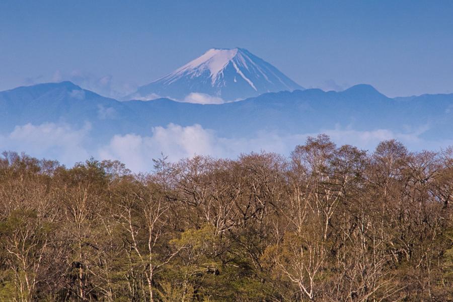 富士山を撮りたい（撮影スポット）