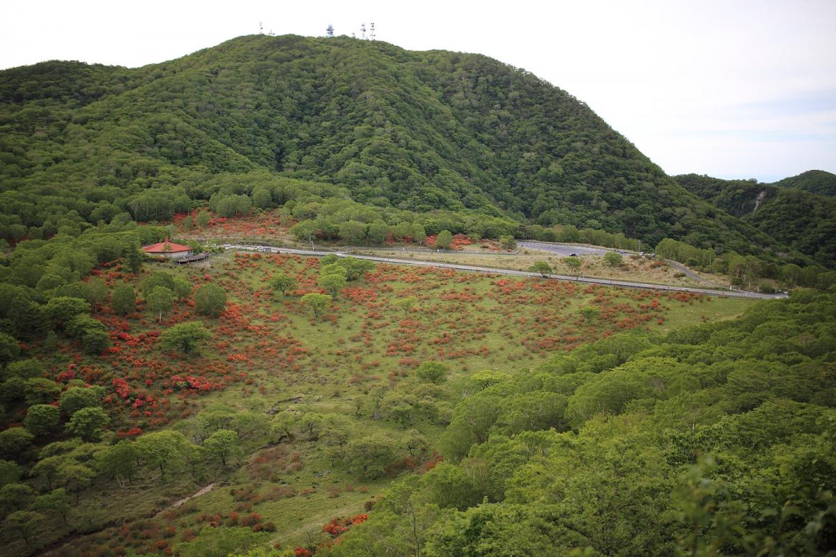 鈴ヶ岳登山道途中の姥子岩付近の景色
