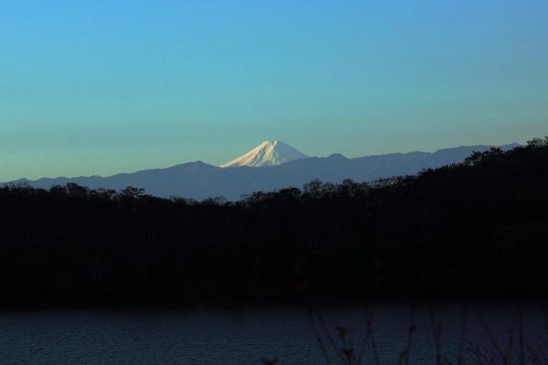 富士山スポットから見える富士山