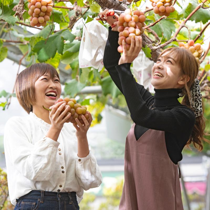 観光農園あかぎおろし