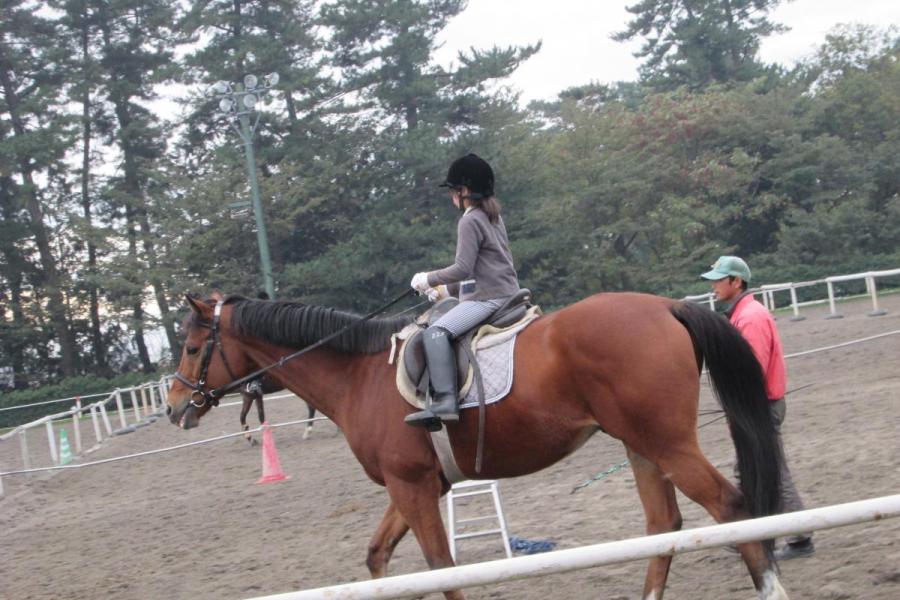 ●はじめての体験乗馬