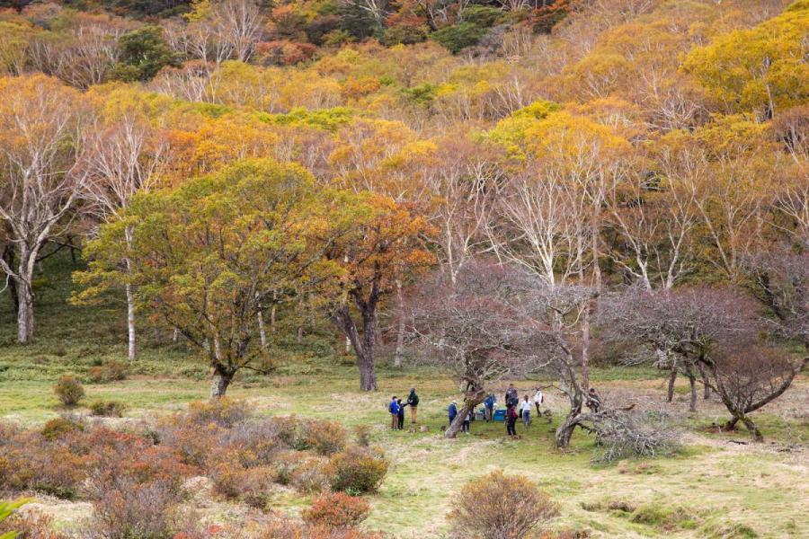 ●普段は入れない！赤城白樺牧場 秘密の絶景ツアー 2021Autumn