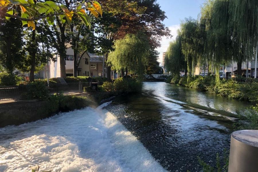 交水堰