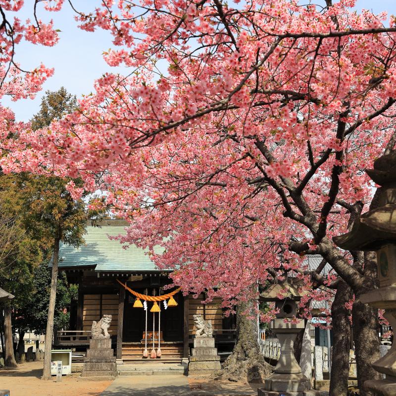 江田鏡神社