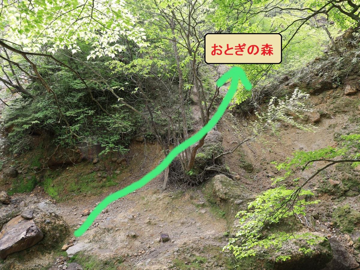 おとぎの森へ行く場合は川を渡り対面の斜面を登ります。それ以外のルートについては事前に十分調査してください。