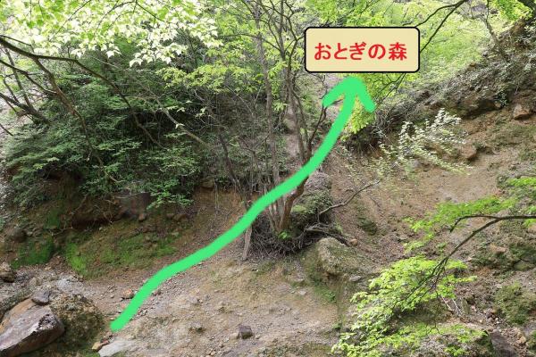 おとぎの森へ行く場合は川を渡り対面の斜面を登ります。それ以外のルートについては事前に十分調査してください。