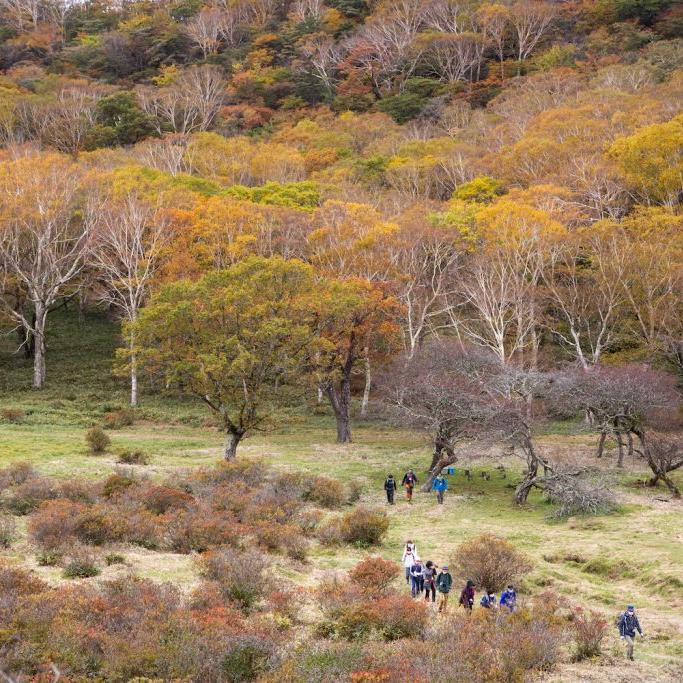 赤城白樺牧場 秘密の絶景ツアー 2024 Autumn