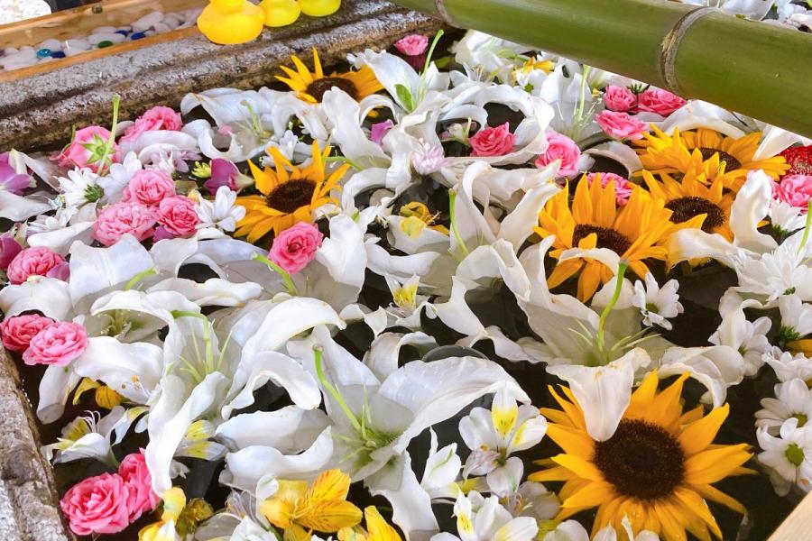 ●総社神社の花手水飾り