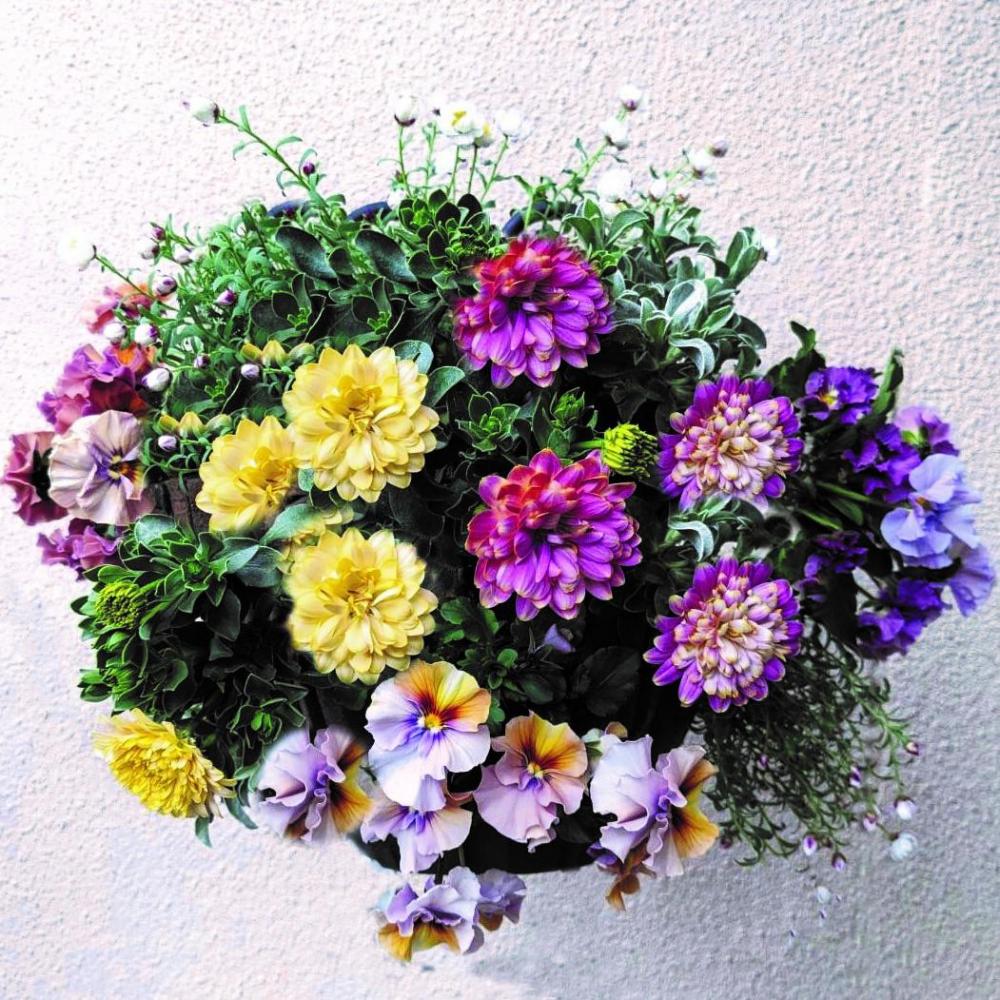 ●春のお花を飾ってみませんか？