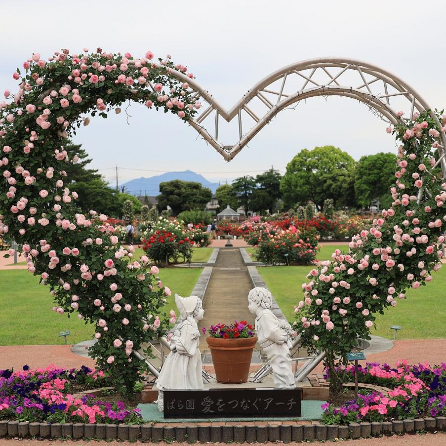 敷島公園門倉テクノばら園