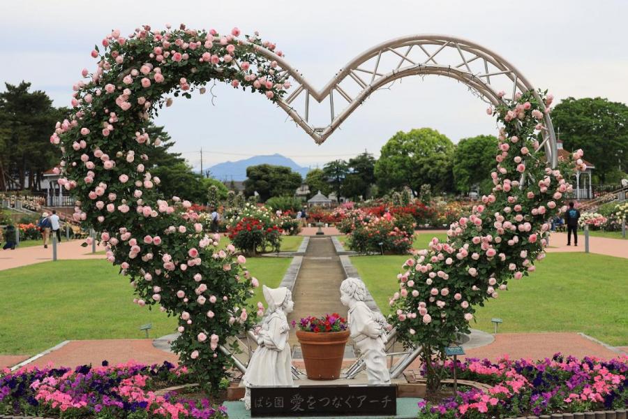 敷島公園門倉テクノばら園