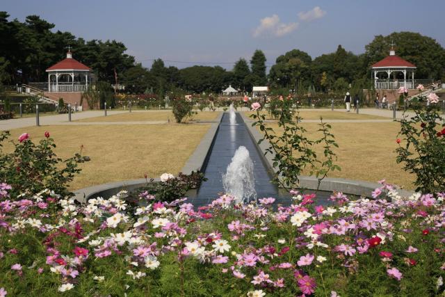 敷島公園門倉テクノばら園　※春のばら園まつりは中止となっています