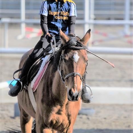 初めてでも大丈夫！「乗馬」・「ポニーの引き馬」体験