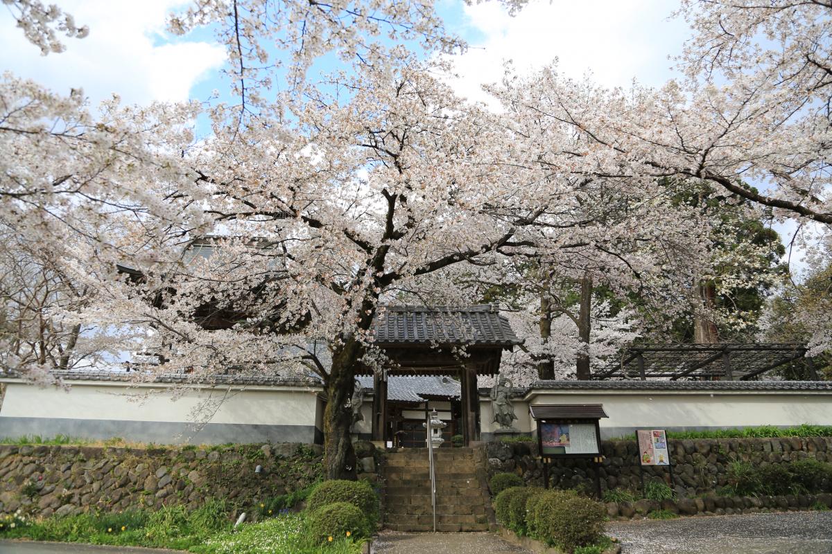 珊瑚寺｜観光・体験 | 前橋の観光・旅行情報サイト 「前橋まるごとガイド」