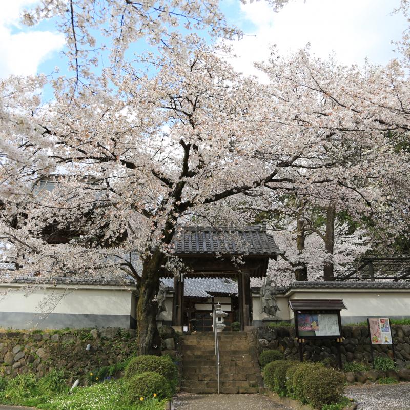 珊瑚寺
