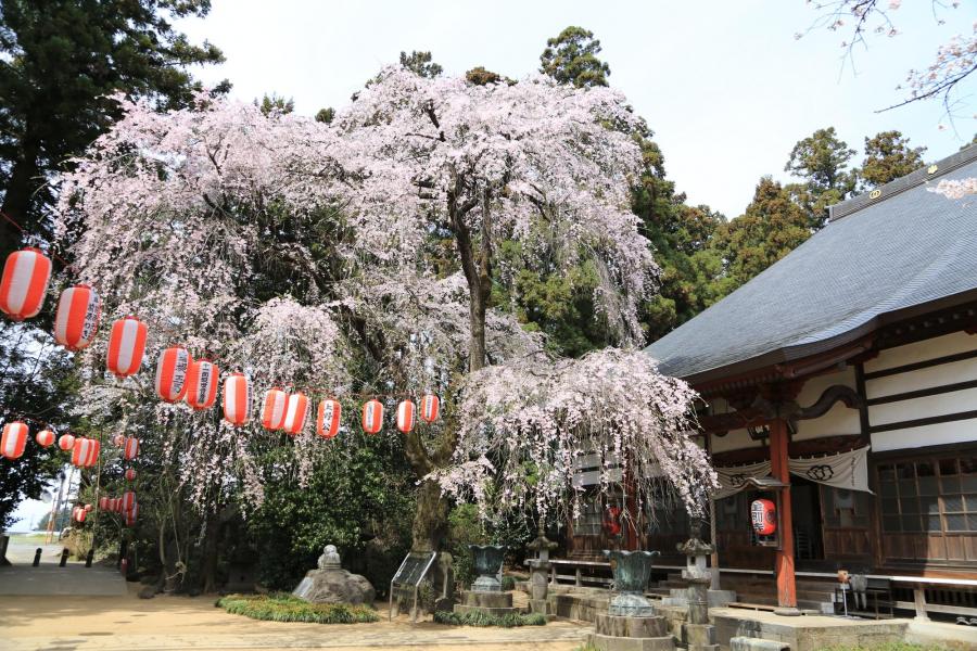 金剛寺