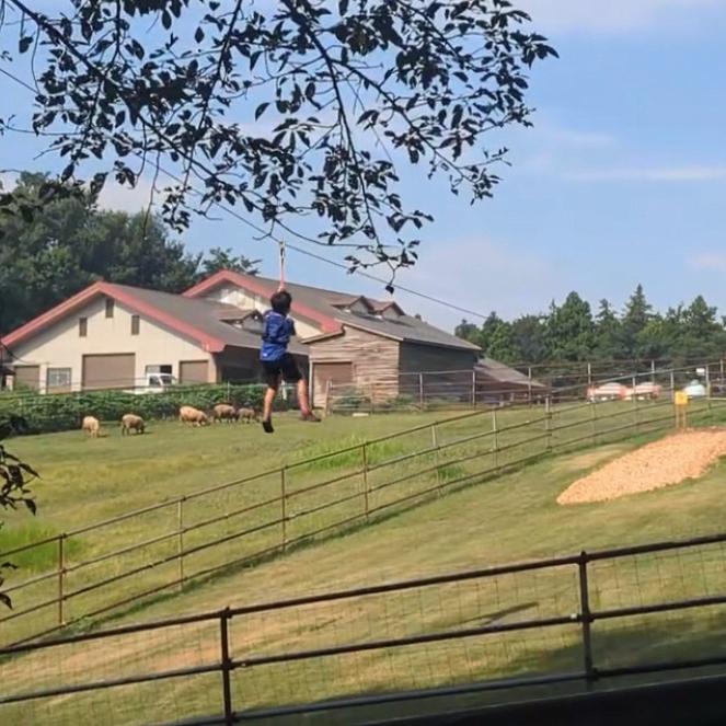 【赤城南麓】ジップライン事前WEB予約