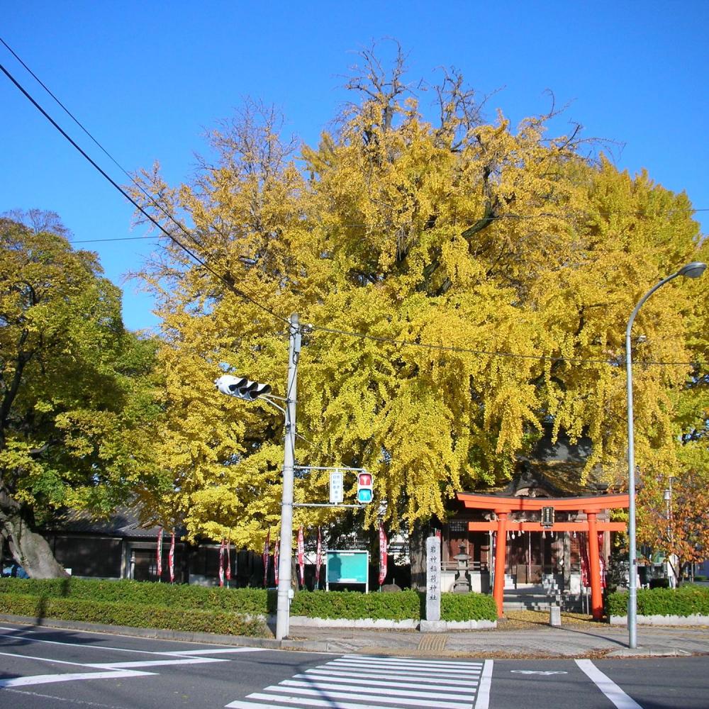 飛び石稲荷神社