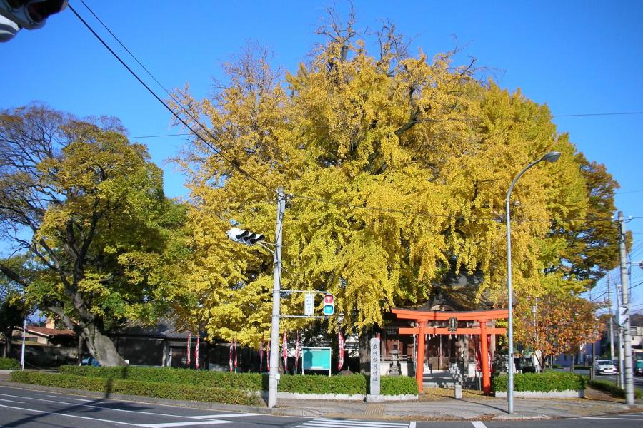 飛び石稲荷神社