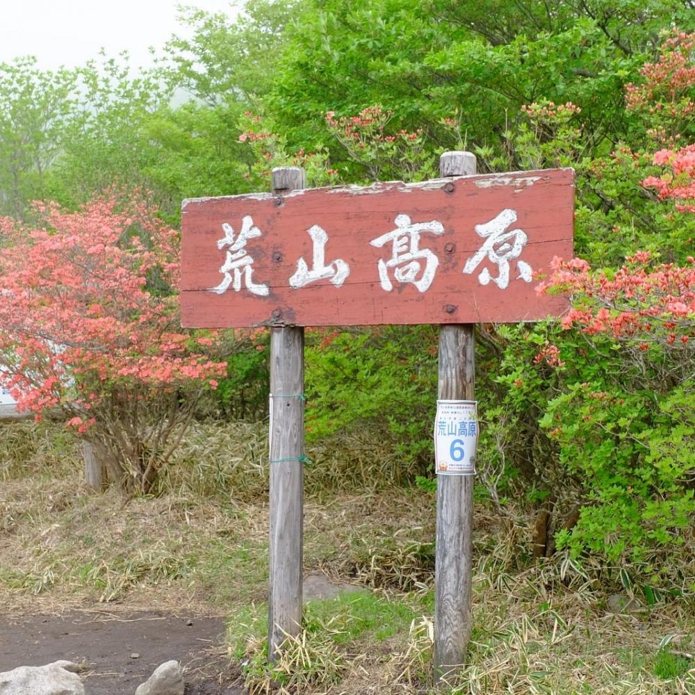 荒山高原