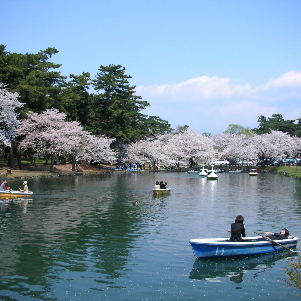 敷島公園 