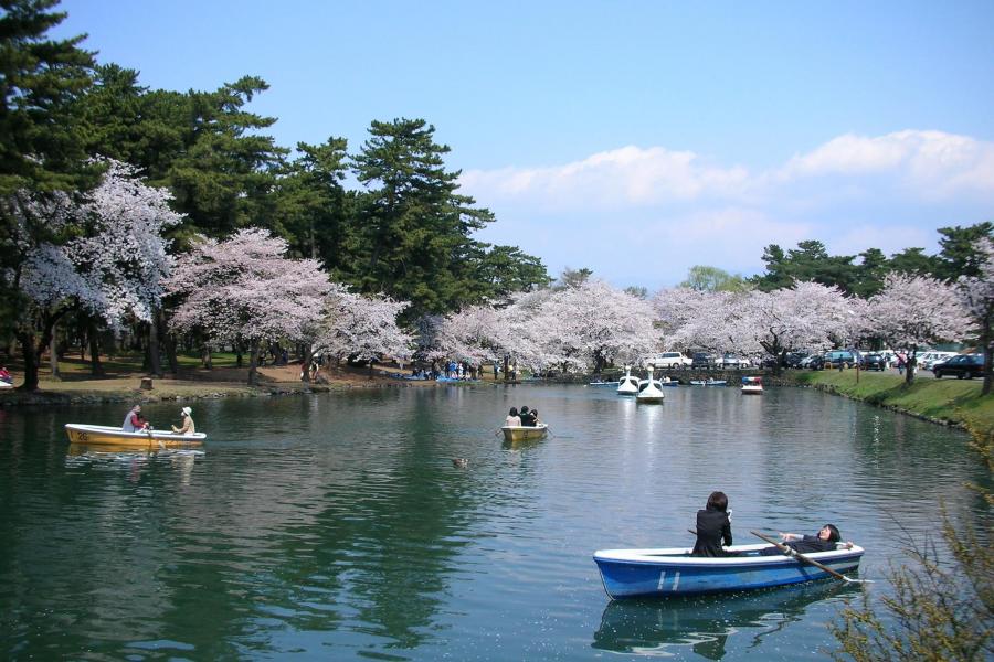 敷島公園 