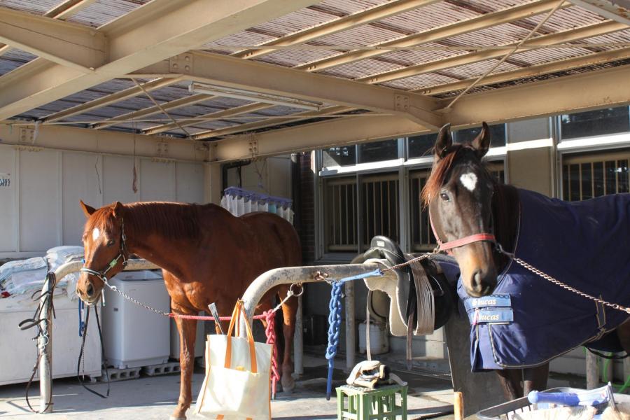 群馬県馬事公苑