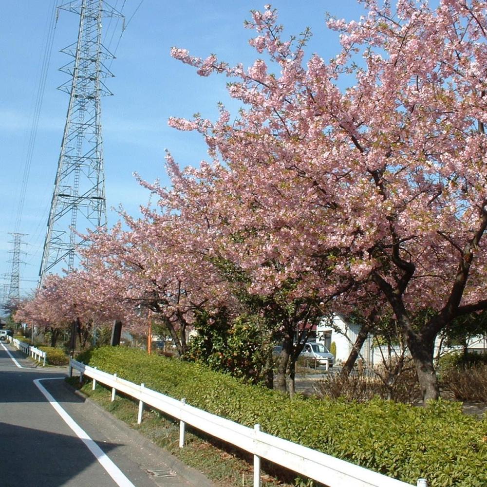 元総社みろく１号公園