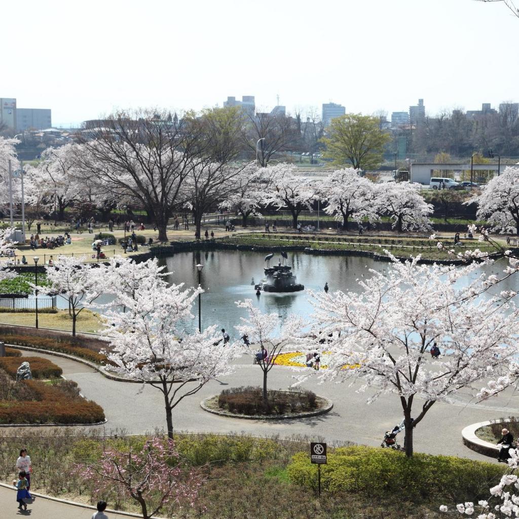 楽歩堂前橋公園