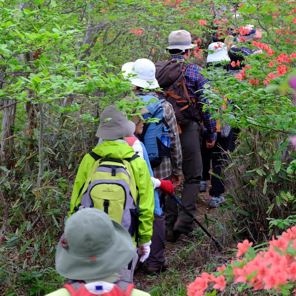 粕川町つつじが峰トレッキング イベント 前橋の観光 旅行情報サイト 前橋まるごとガイド
