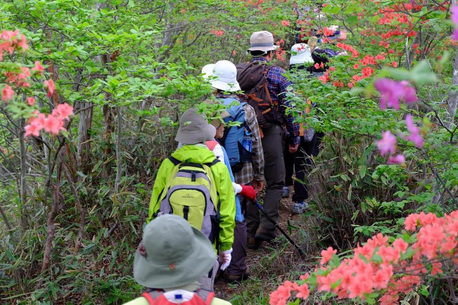 【満員御礼】粕川町つつじが峰トレッキング