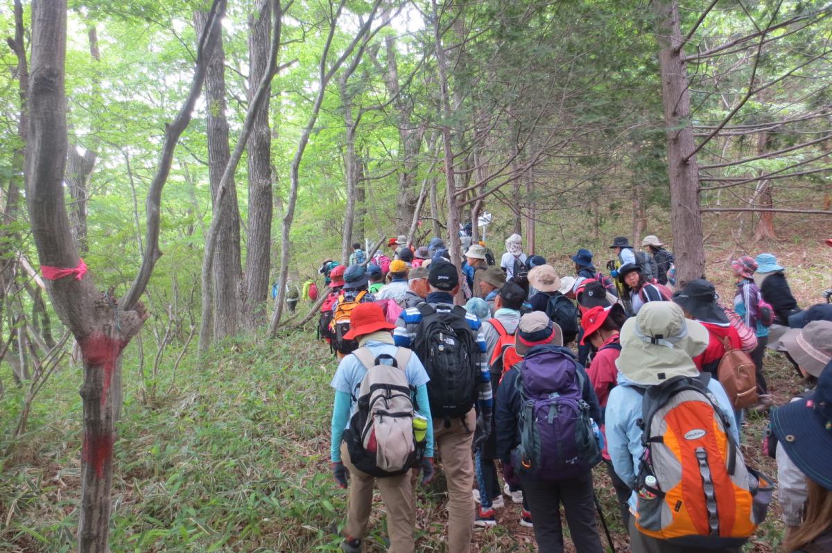満員御礼 粕川町つつじが峰トレッキング イベント 前橋の観光 旅行情報サイト 前橋まるごとガイド
