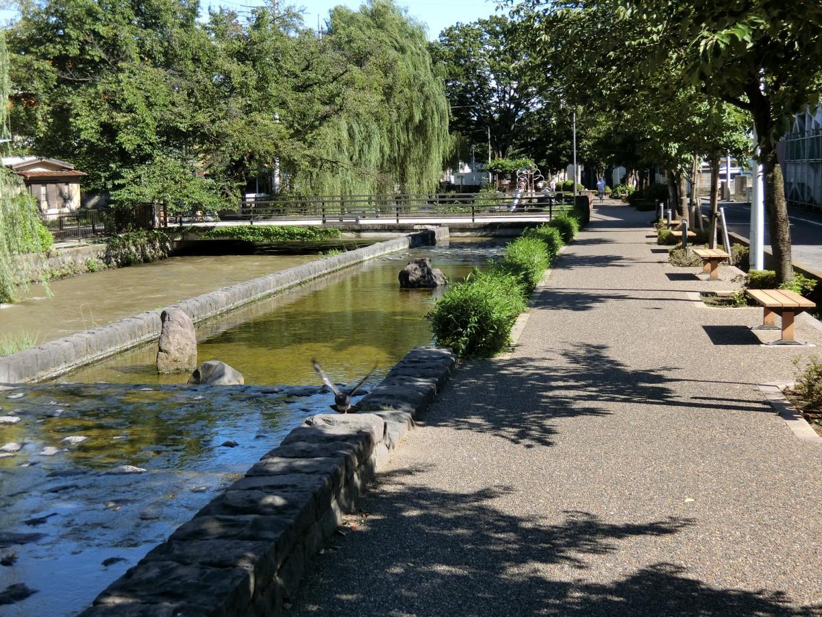 広瀬川 遊歩道