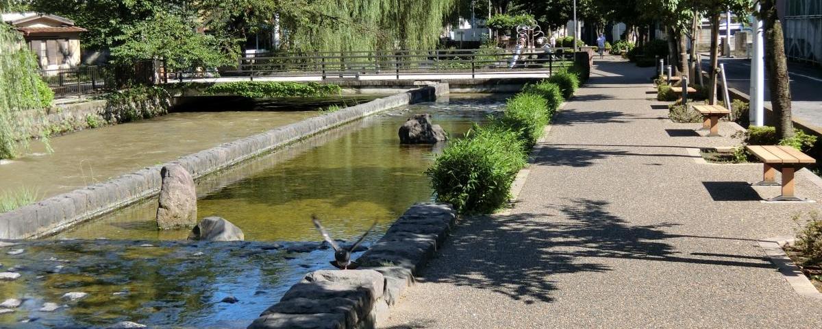 広瀬川 遊歩道