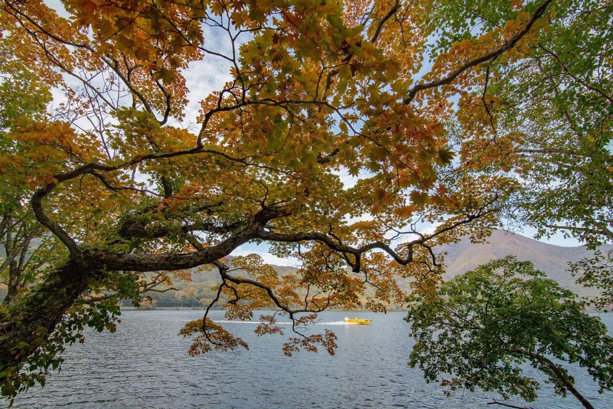 紅葉が楽しみ、秋の赤城山！