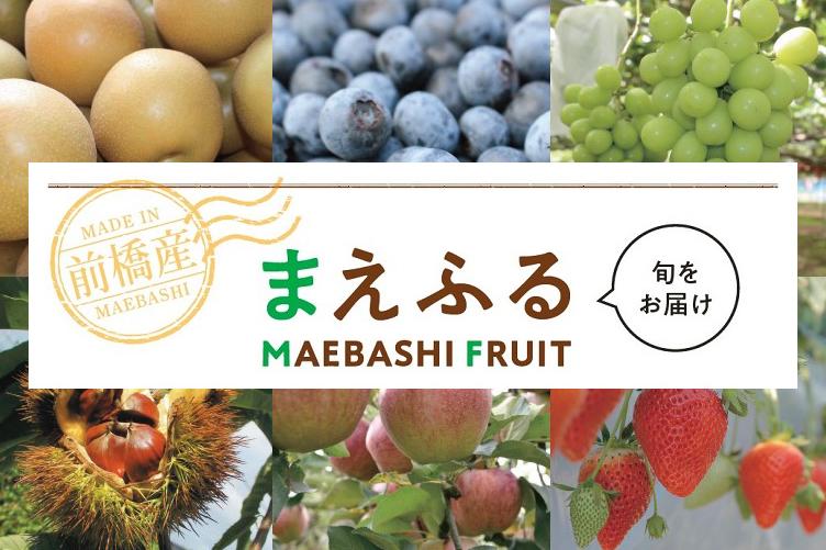 前橋はフルーツの宝庫！まえふる(MAEBASHI FRUIT) 特集