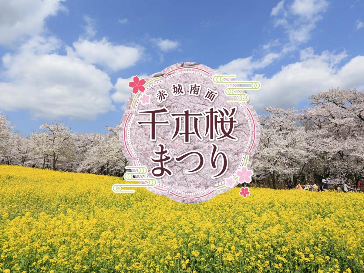 赤城南面千本桜まつり