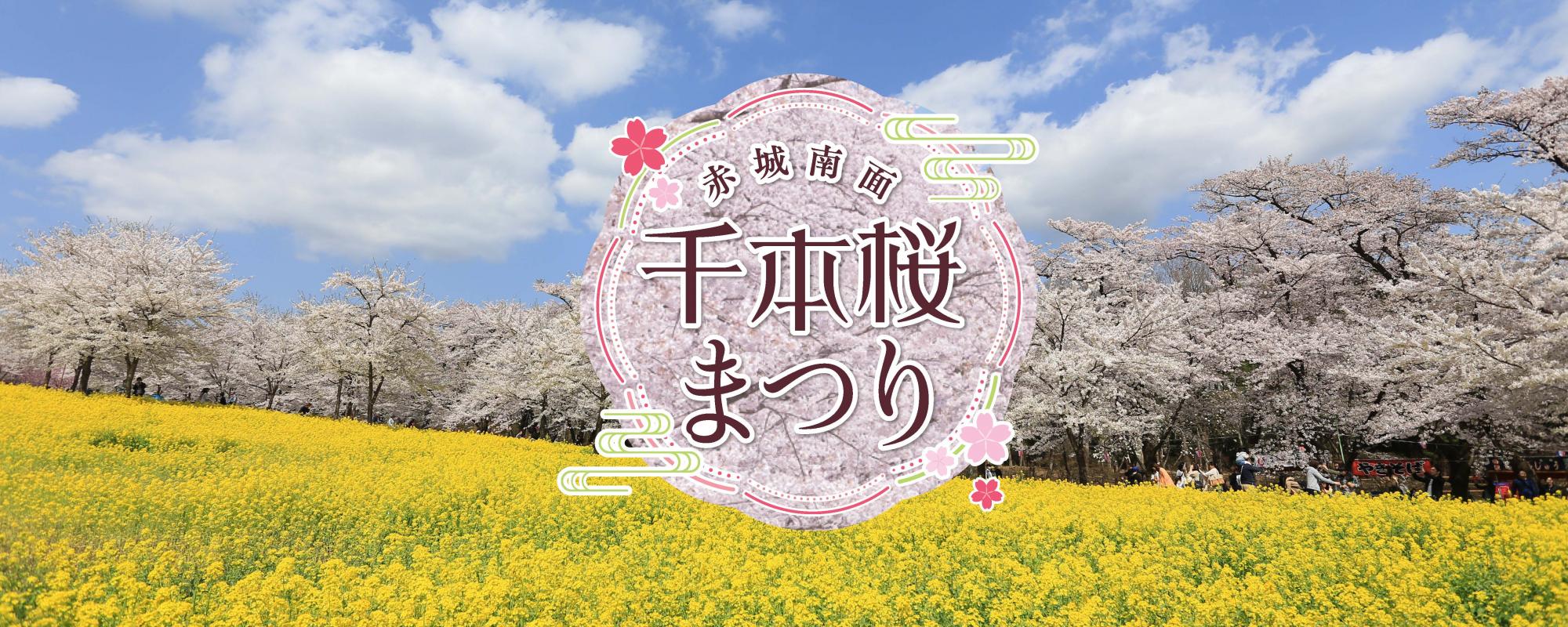 赤城南面千本桜まつり