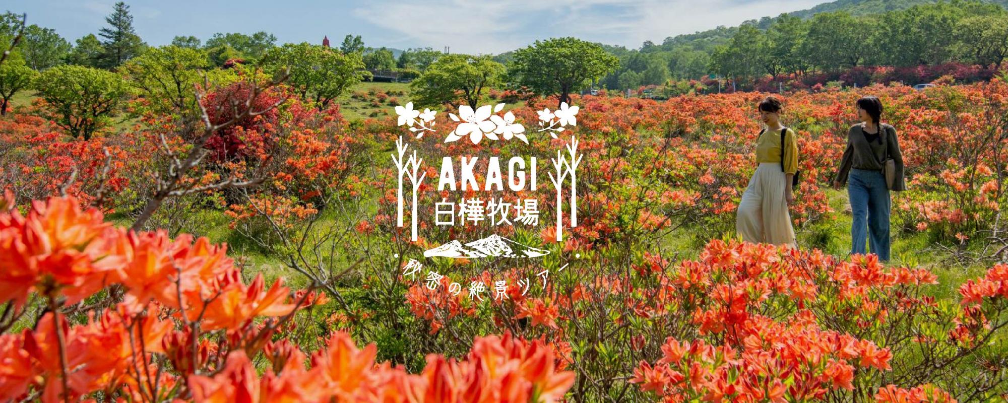 赤城白樺牧場 秘密の絶景ツアー