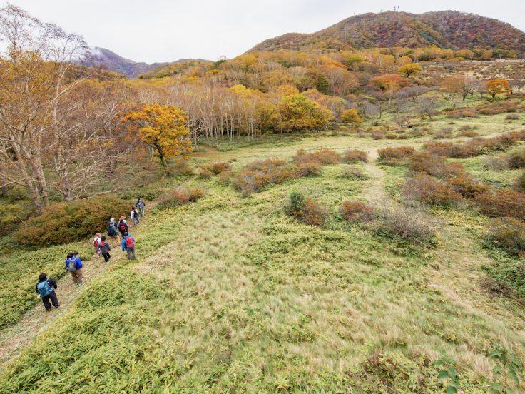 赤城白樺牧場 秘密の絶景ツアー2023 Autumn