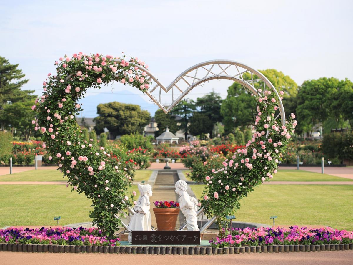 春のばら園まつり