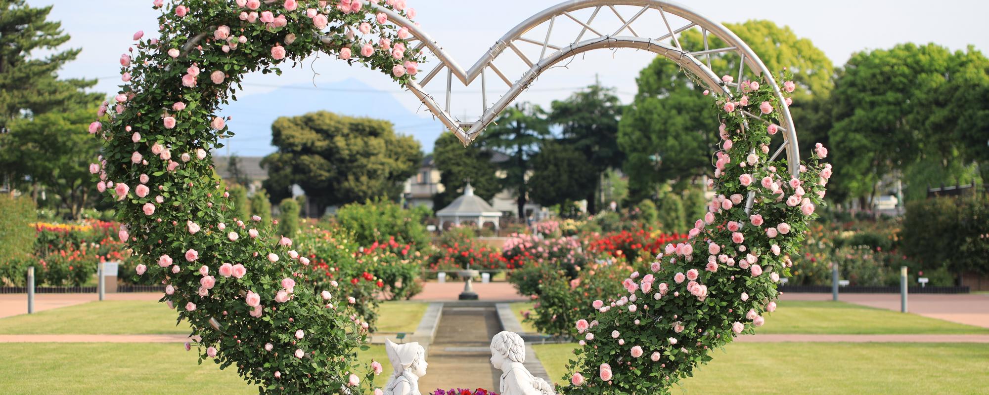春のばら園まつり