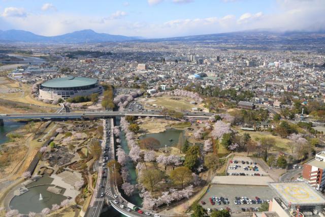 楽歩堂前橋公園