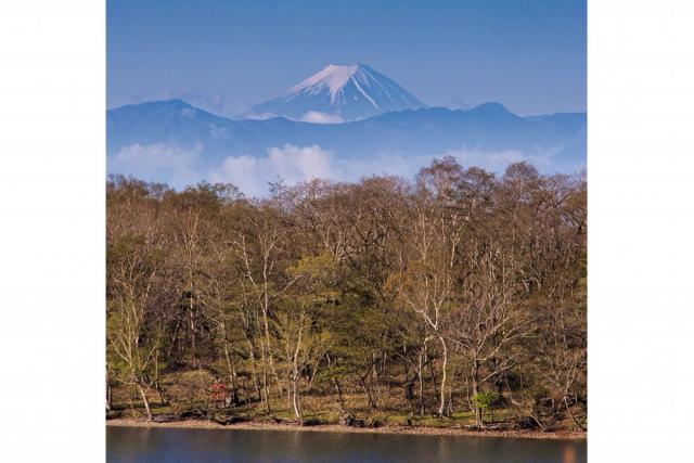 小沼の富士山スポット