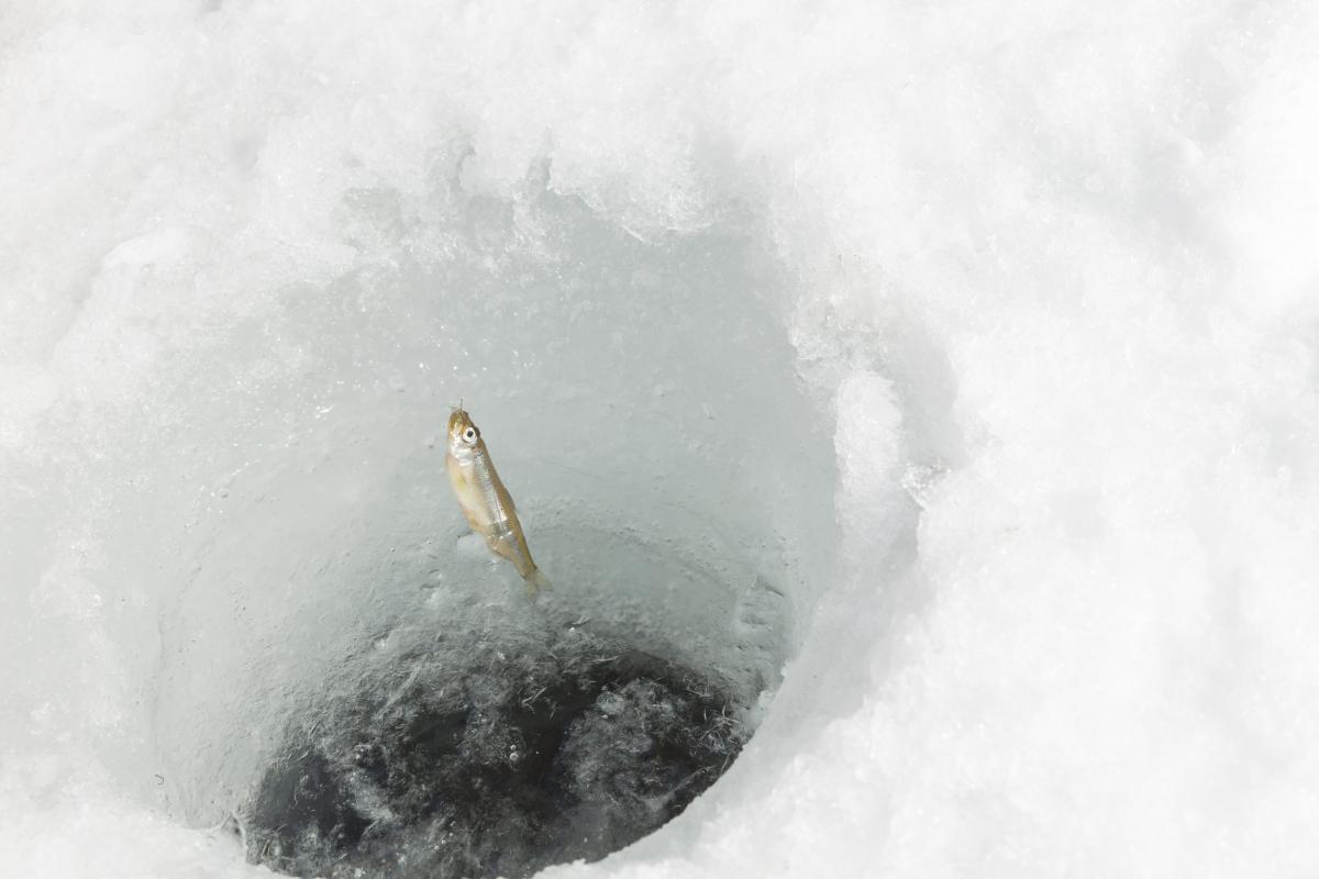 釣り特集