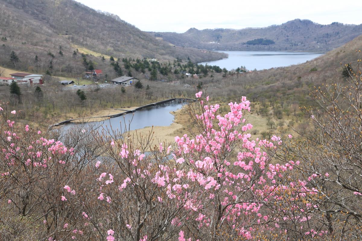 日本百名山・前橋のシンボル赤城山の四季｜特集 | 前橋の観光・旅行情報サイト 「前橋まるごとガイド」