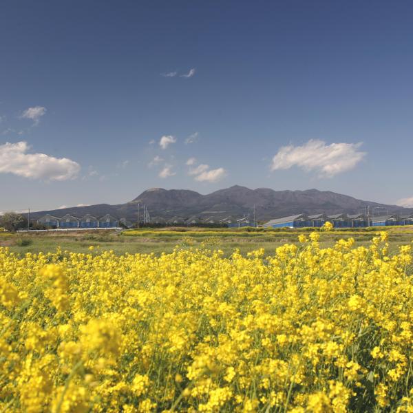 赤城山・春1