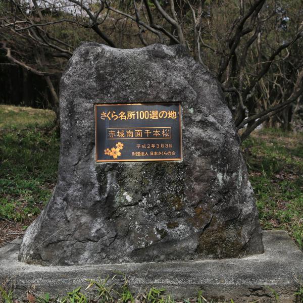 みやぎ千本桜の森公園9