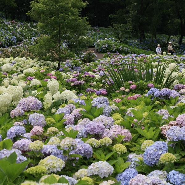 環境システム荻窪公園1